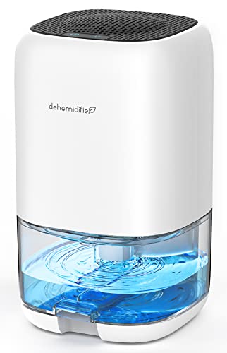 Best Small Dehumidifiers